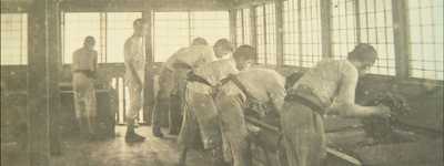 the tea workmen in Shizuoka